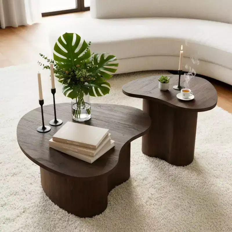 Lot de 2 tables basses modernes en forme de cœur, tables d'appoint gigognes, petit ensemble de tables basses décoratives pour salon ou appartement - Panipeachy